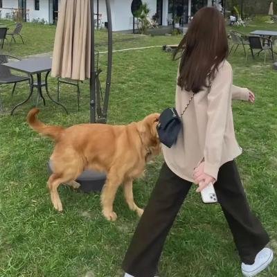 百万美元宝贝国语