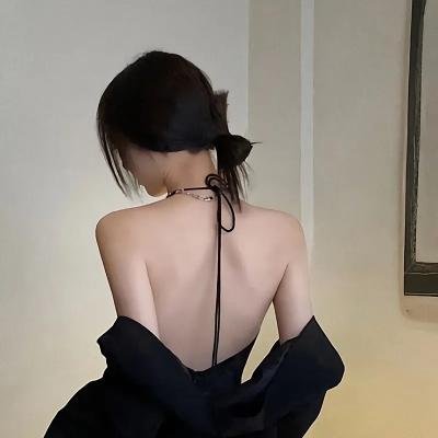 赘婿动画版